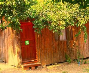 Saban Tree Houses