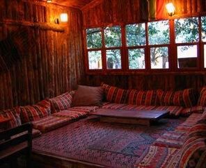 Bayrams Tree Houses