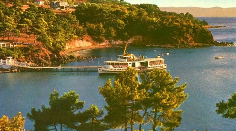 Full Day Princess Island Tour
